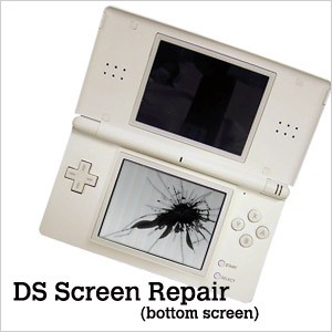 Sostituzione schermo inferiore Nintendo Ds Lite